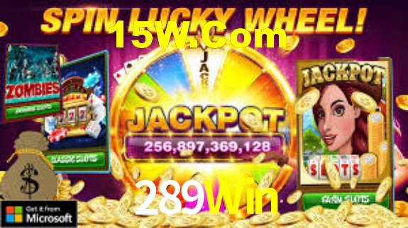 289Win,289.Win