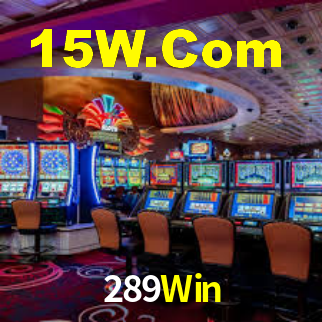 289Win,289.Win