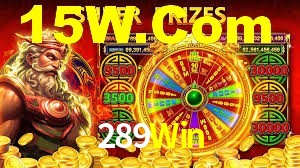 289Win,289.Win