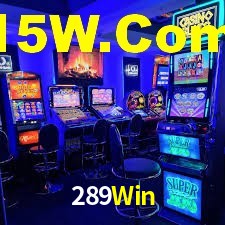 289Win App Interface