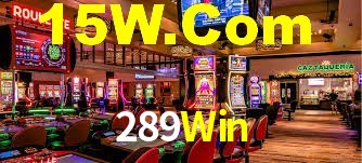 Premium Interface 289Win