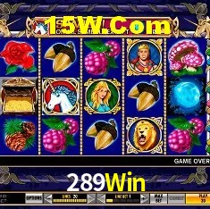 289Win Brasília - Jogo Features