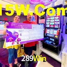 Statistics 289Win