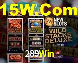 VIP Casino 289Win